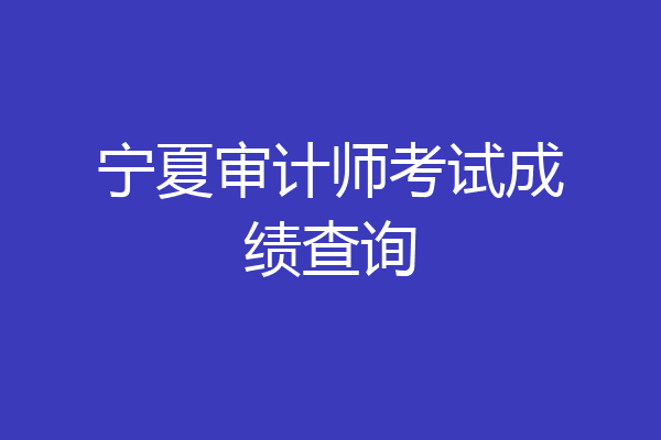 宁夏审计师考试成绩查询
