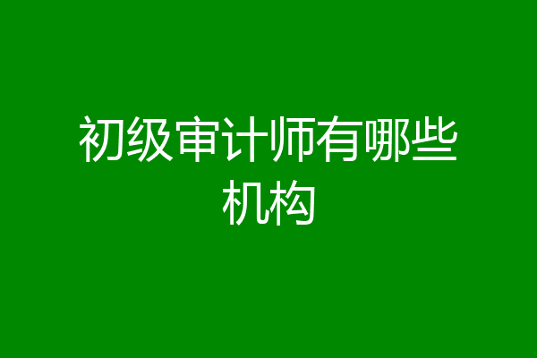 初级审计师有哪些机构