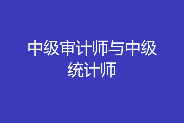 中级审计师与中级统计师
