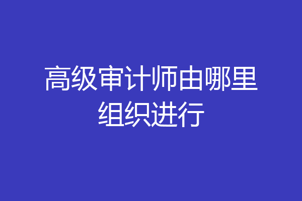 高级审计师由哪里组织进行