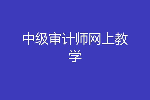 中级审计师网上教学