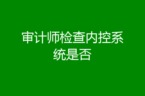 审计师检查内控系统是否