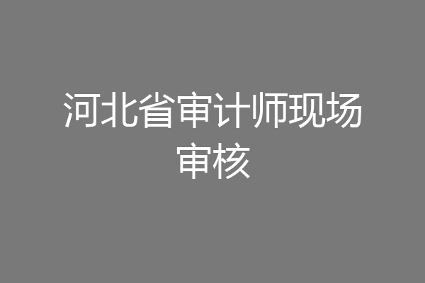 河北省审计师现场审核
