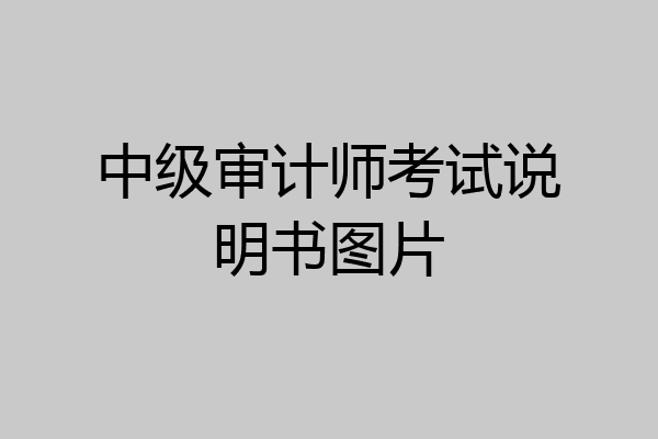 中级审计师考试说明书图片