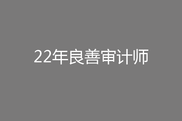 22年良善审计师