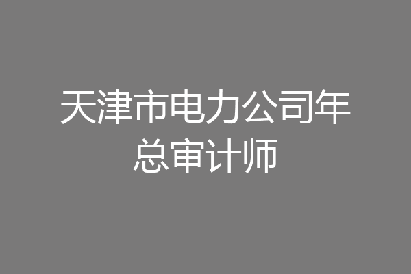 天津市电力公司年总审计师
