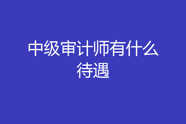 中级审计师有什么待遇