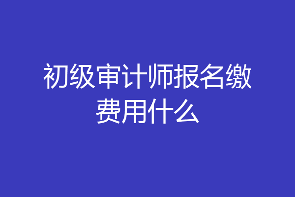 初级审计师报名缴费用什么