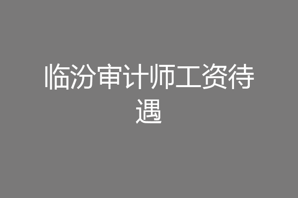 临汾审计师工资待遇