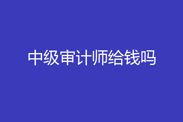 中级审计师给钱吗
