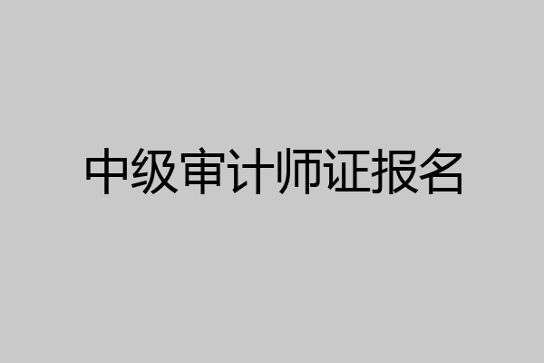 中级审计师证报名