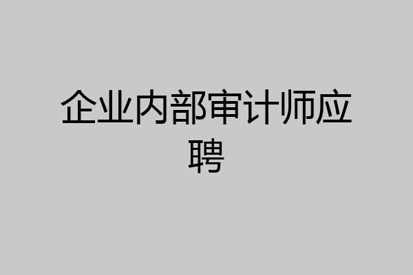 企业内部审计师应聘