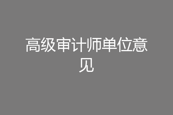 高级审计师单位意见