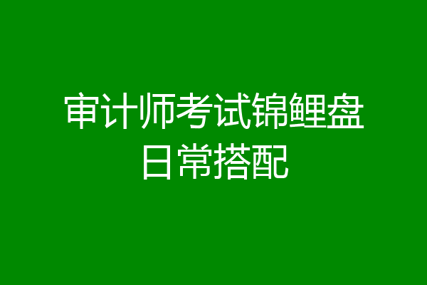 审计师考试锦鲤盘日常搭配