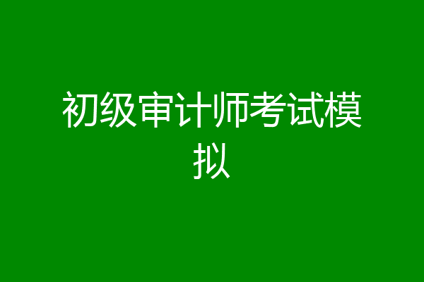 初级审计师考试模拟