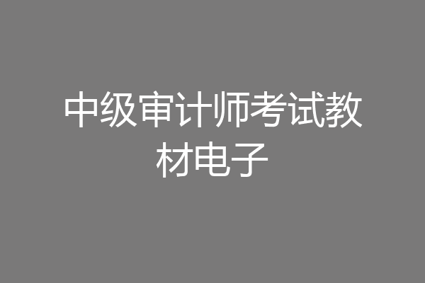 中级审计师考试教材电子
