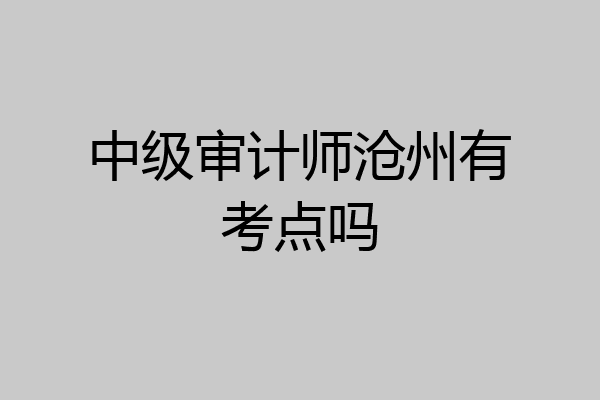中级审计师沧州有考点吗