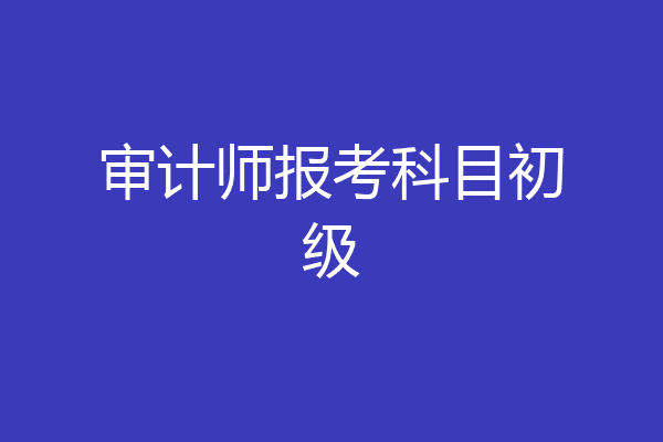 审计师报考科目初级