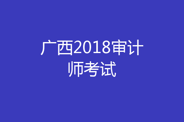 广西2018审计师考试