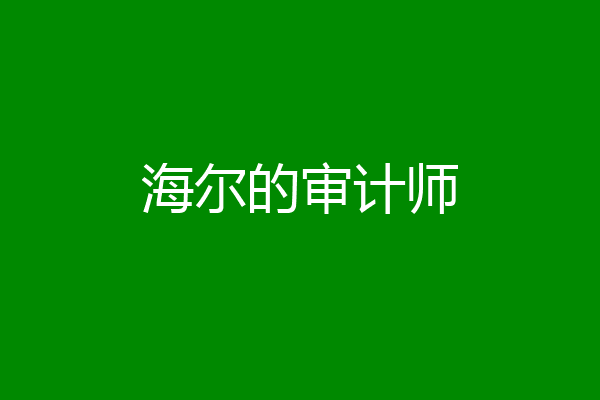 海尔的审计师