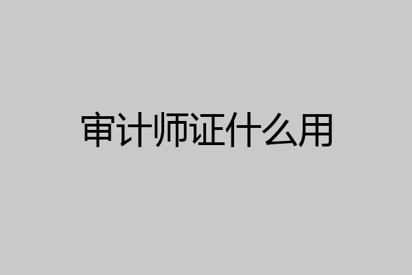 审计师证什么用