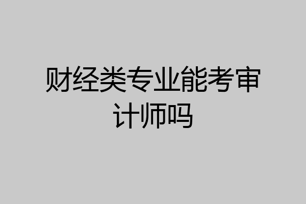 财经类专业能考审计师吗