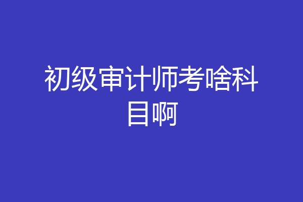 初级审计师考啥科目啊