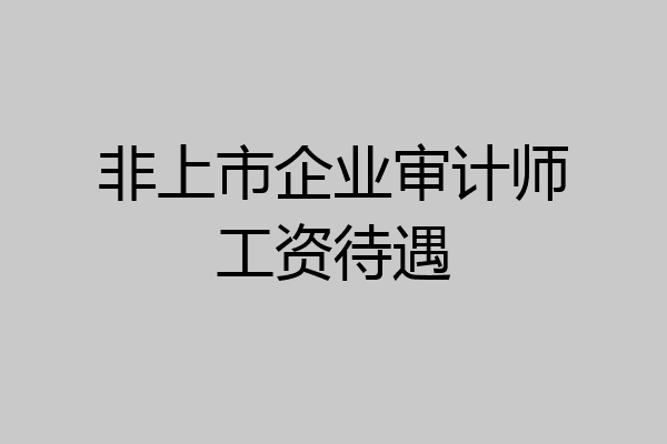 非上市企业审计师工资待遇