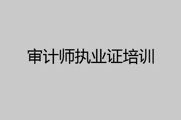 审计师执业证培训