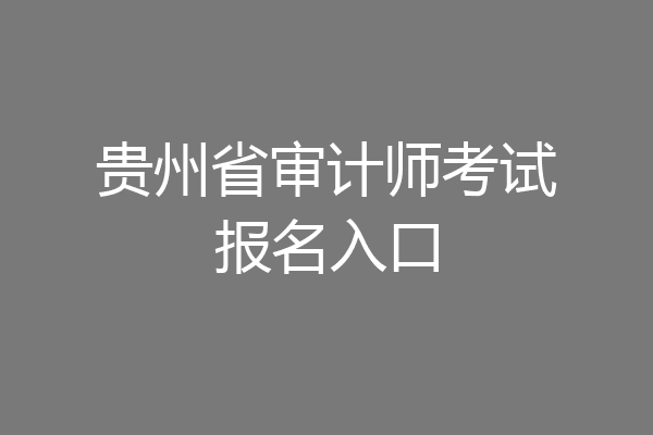 贵州省审计师考试报名入口