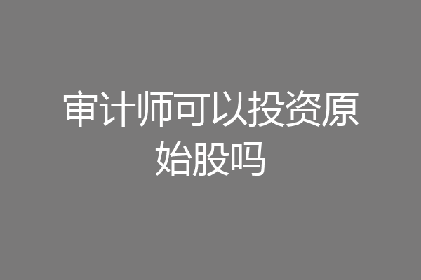 审计师可以投资原始股吗