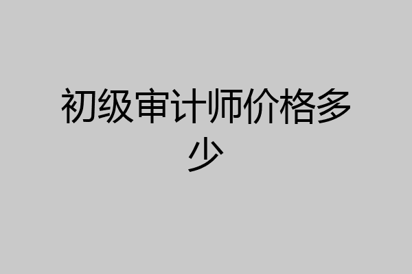 初级审计师价格多少