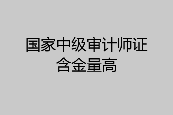 国家中级审计师证含金量高