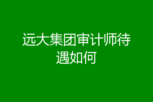 远大集团审计师待遇如何