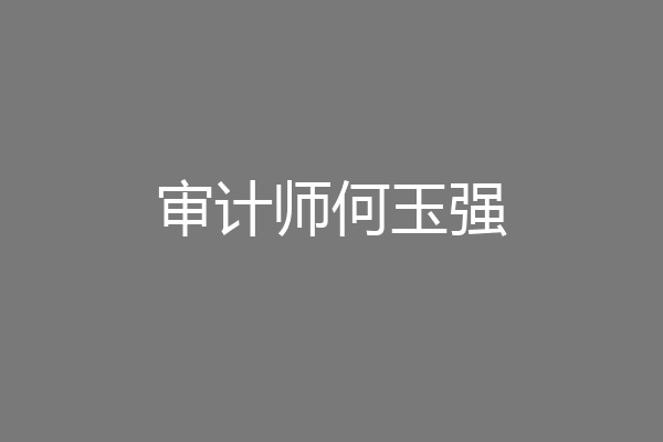 审计师何玉强