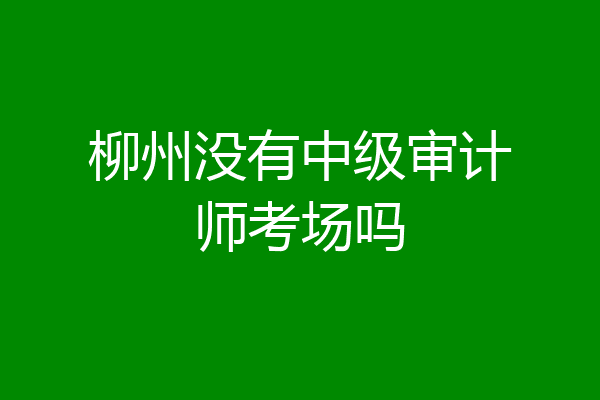 柳州没有中级审计师考场吗