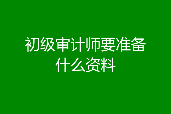 初级审计师要准备什么资料