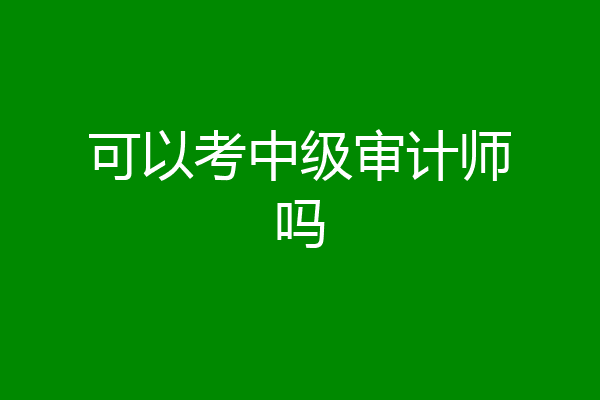 可以考中级审计师吗