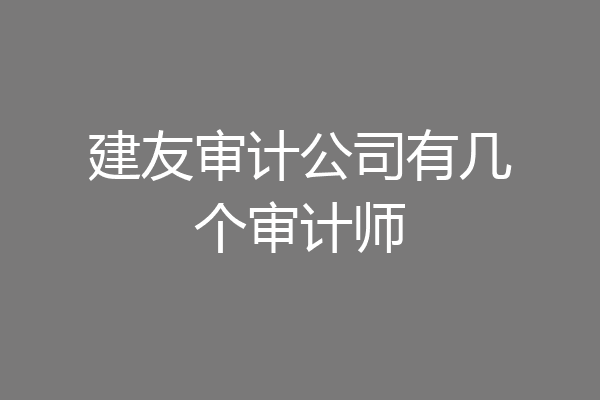 建友审计公司有几个审计师