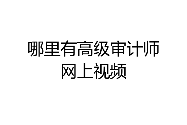 哪里有高级审计师网上视频