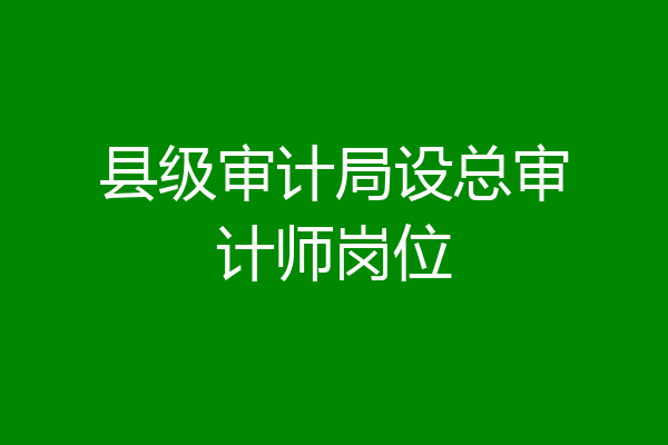 县级审计局设总审计师岗位