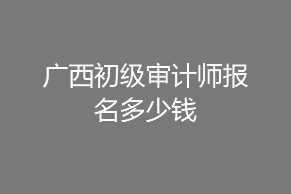 广西初级审计师报名多少钱