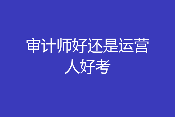 审计师好还是运营人好考