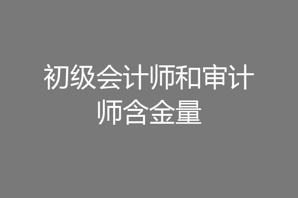初级会计师和审计师含金量