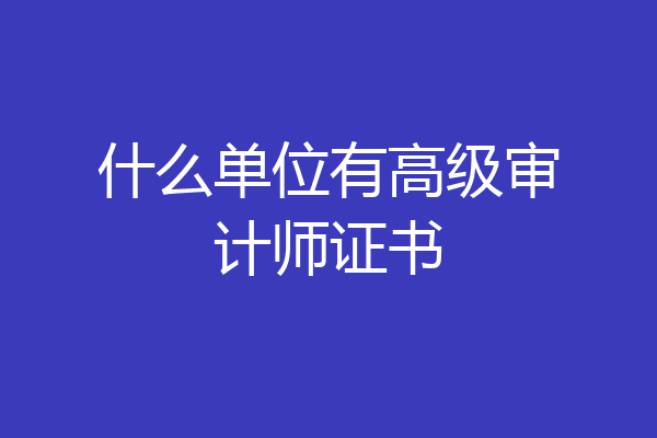 什么单位有高级审计师证书