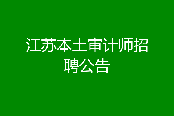 江苏本土审计师招聘公告