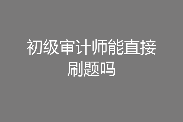 初级审计师能直接刷题吗