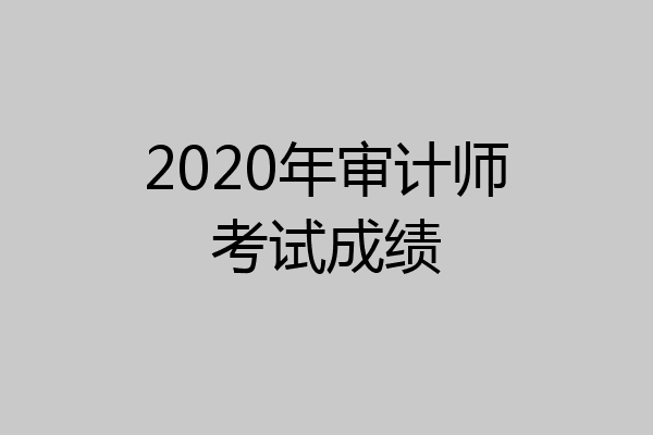 2020年审计师考试成绩