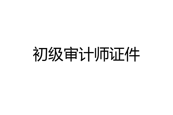 初级审计师证件