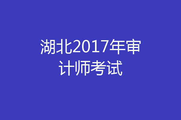 湖北2017年审计师考试